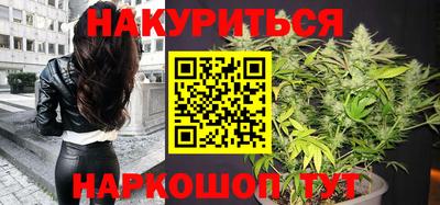 гидра Дубна
