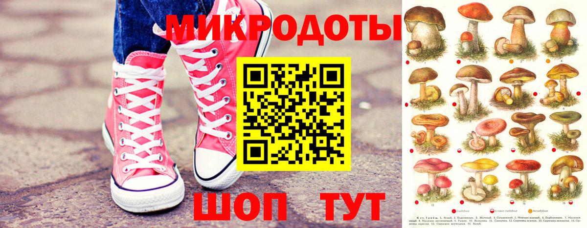 Галлюциногенные грибы GOLDEN TEACHER Ливны