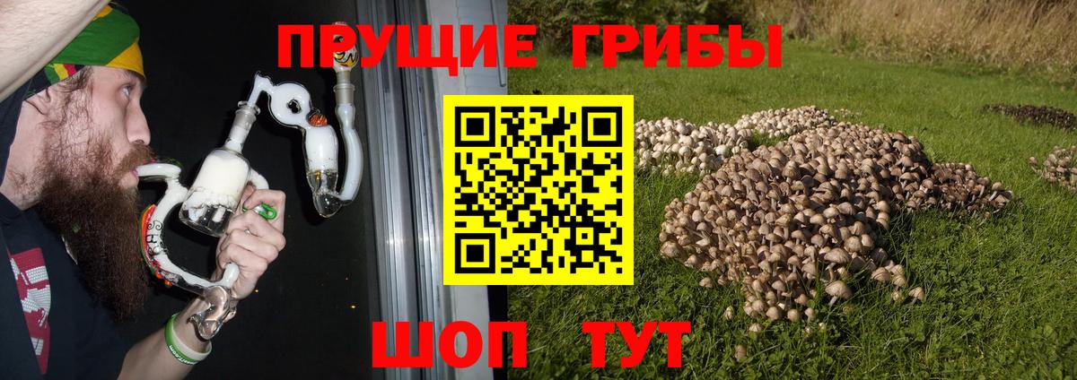 Галлюциногенные грибы ЛСД  Вход с VPN  магазин продажи наркотиков  Ливны  Галлюциногенные грибы мухоморы 