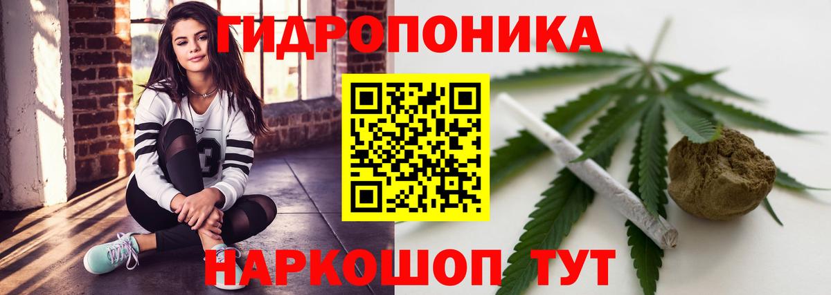 Шишки марихуана ГИДРОПОН Ливны